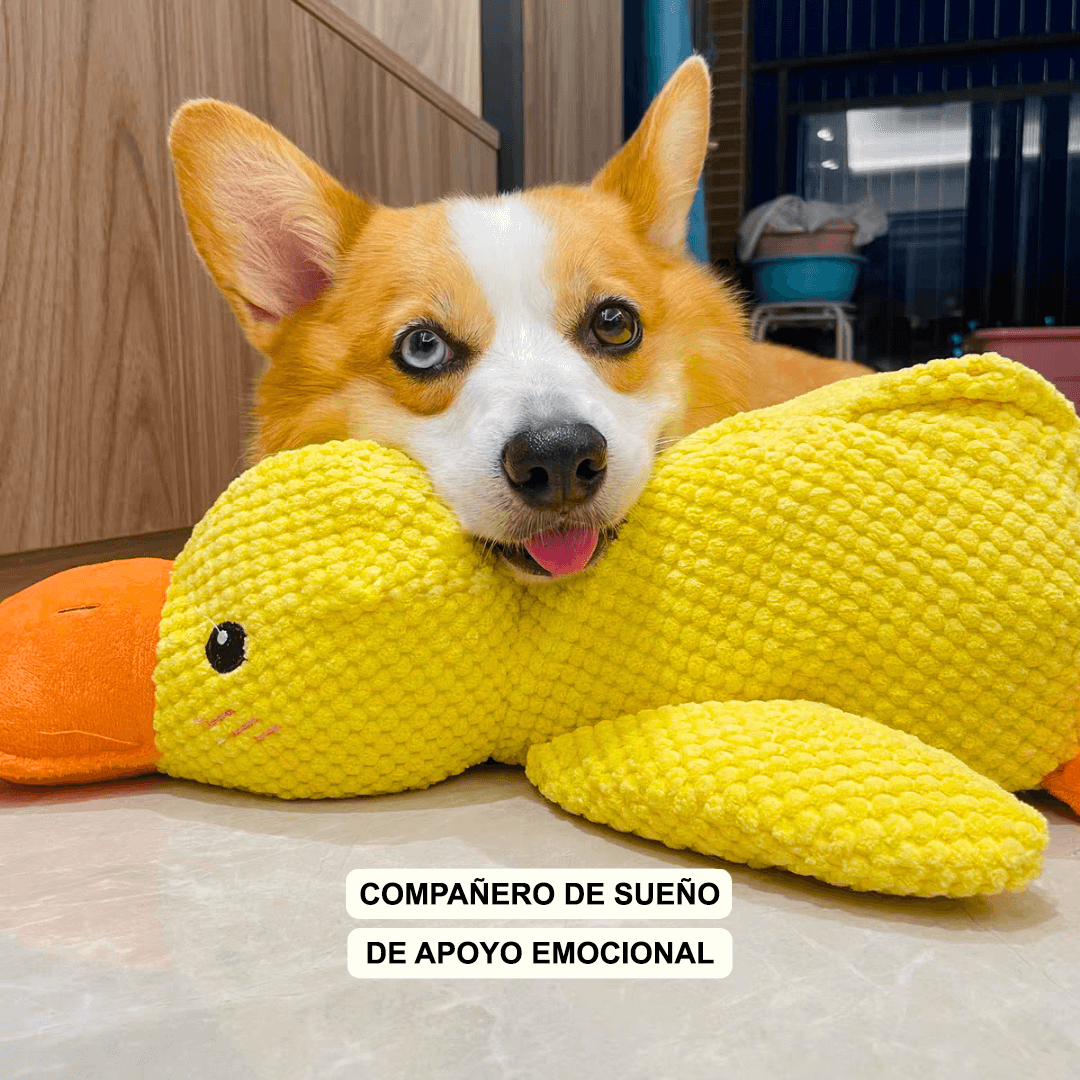 Patoluca® - El Pato Calmante