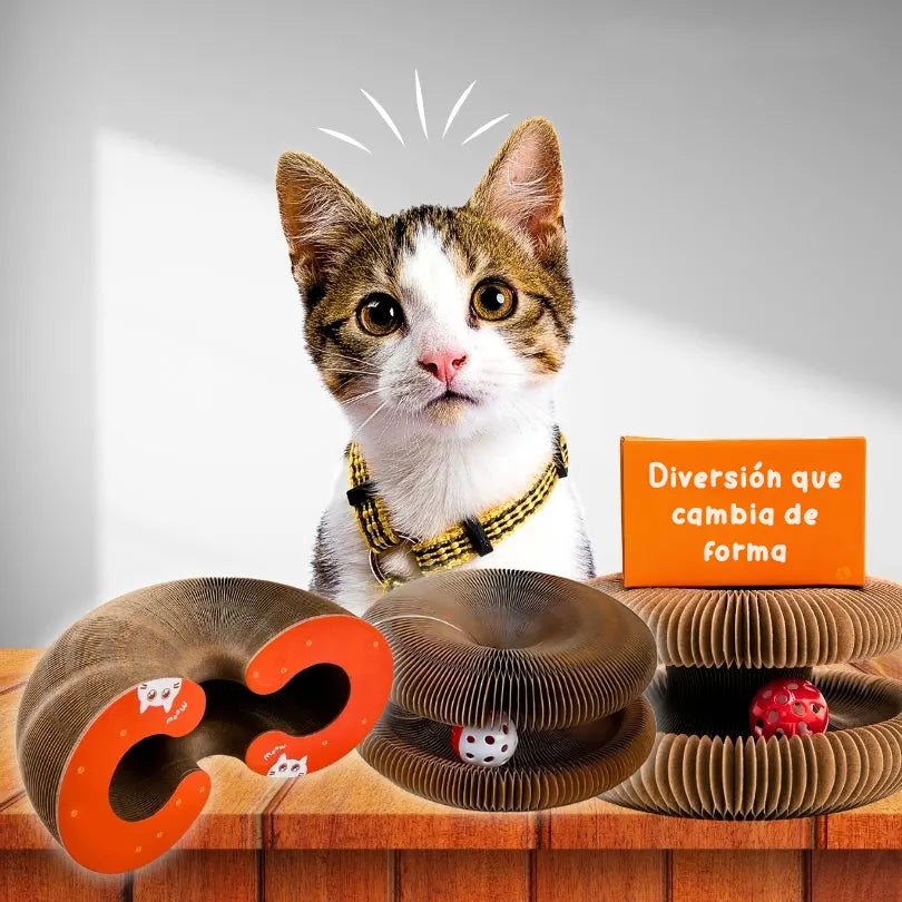 KittyFun®