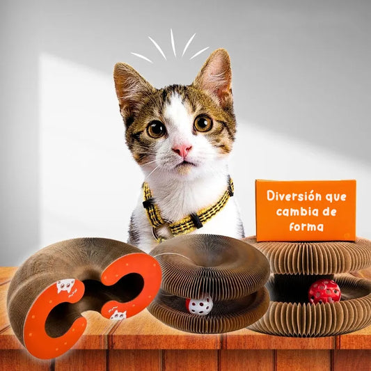 KittyFun®