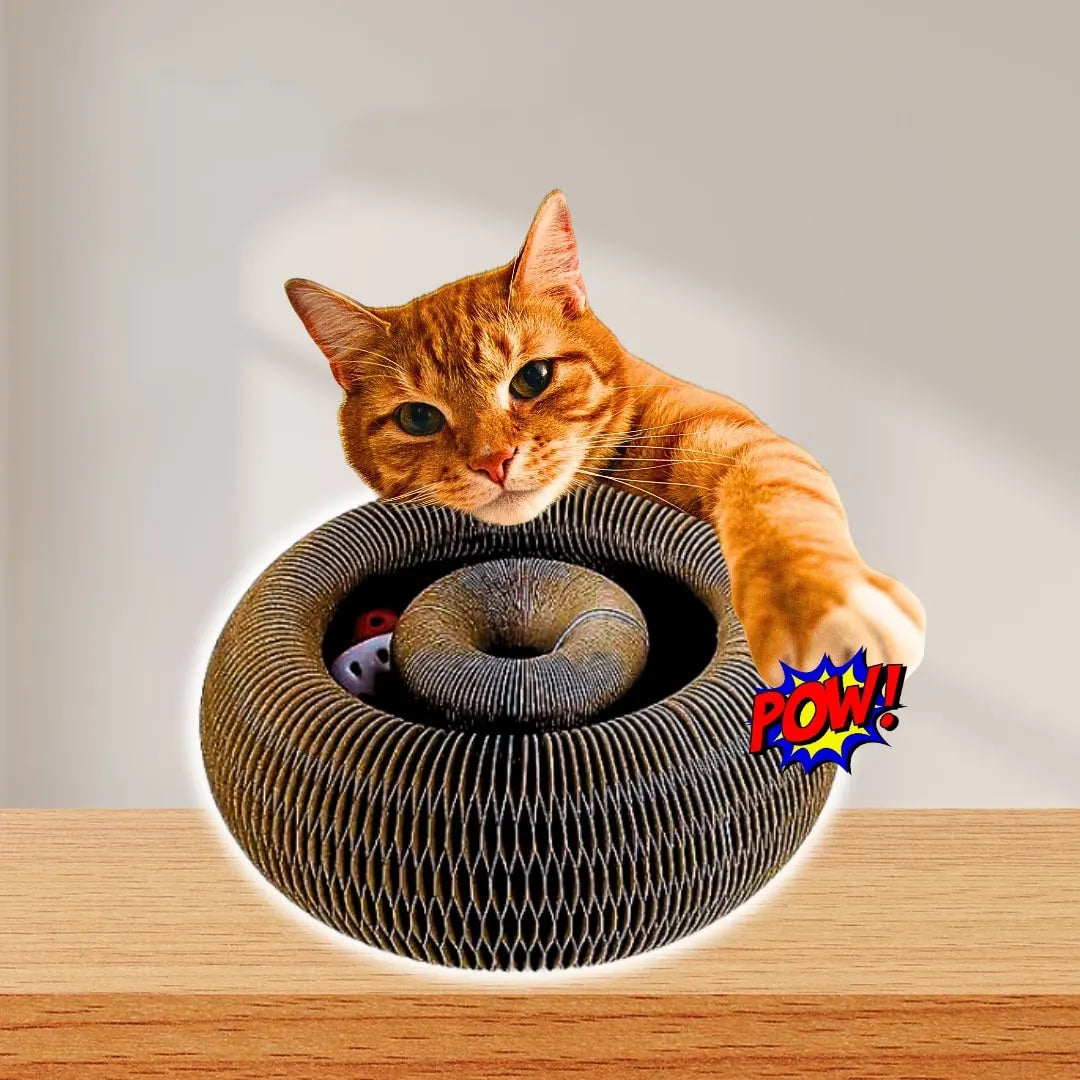 KittyFun®