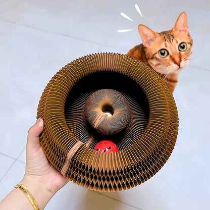 KittyFun®