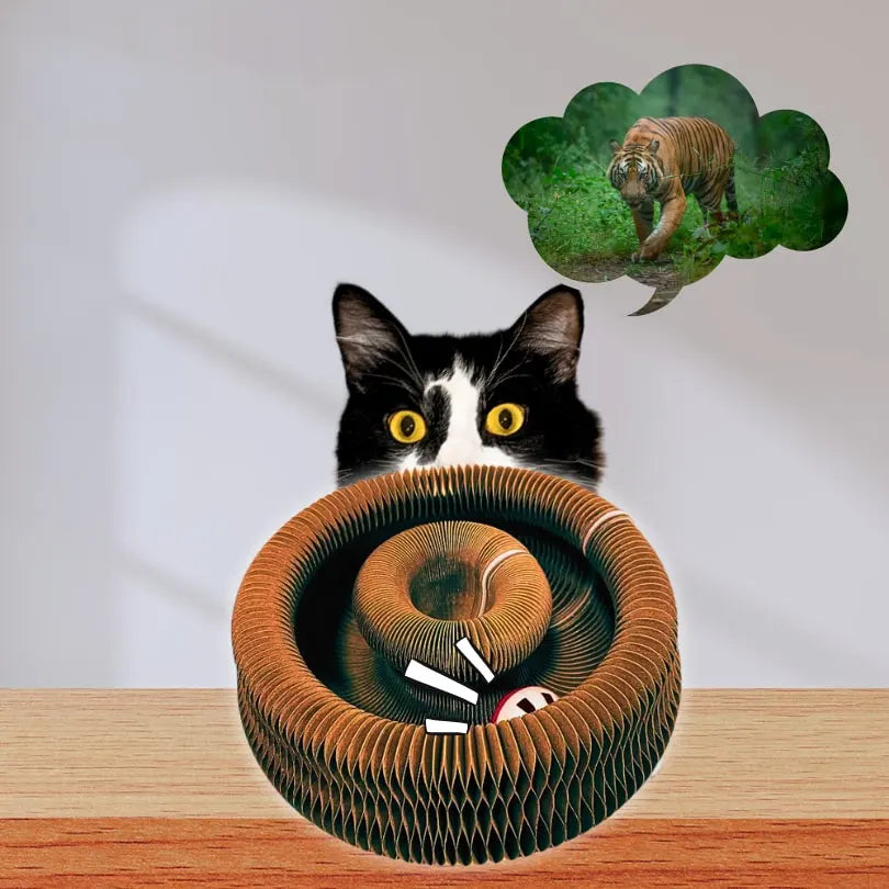 KittyFun®