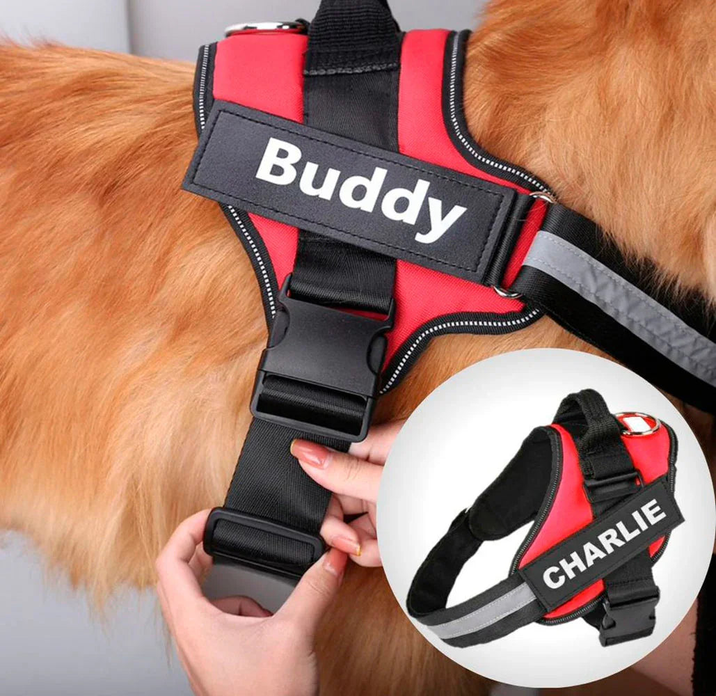 safedog, animal de estimación, artículos para mascotas, cuidado de mascotas, correa, correa para perros pequenos, correa para perros amazon, correa para perro grande, correas para perros baratas, correas para perros precios, collar para perros, correa de cuerda para mascota, correa para mascotas, correa personalizada para mascotas, como poner una correa de perro, arnés para perros, pechera para perro mediano, arnés para perros walmart, pechera para perro reforzada, pecheras para perros de cuero